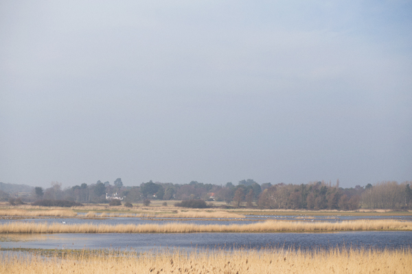 suffolk_blog_014