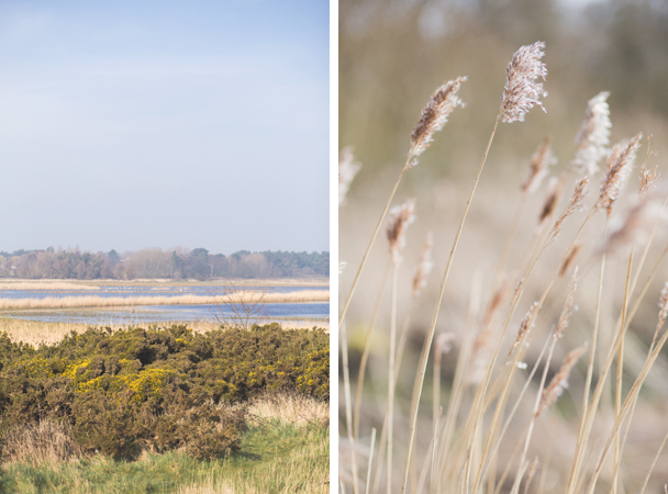 suffolk_blog_015