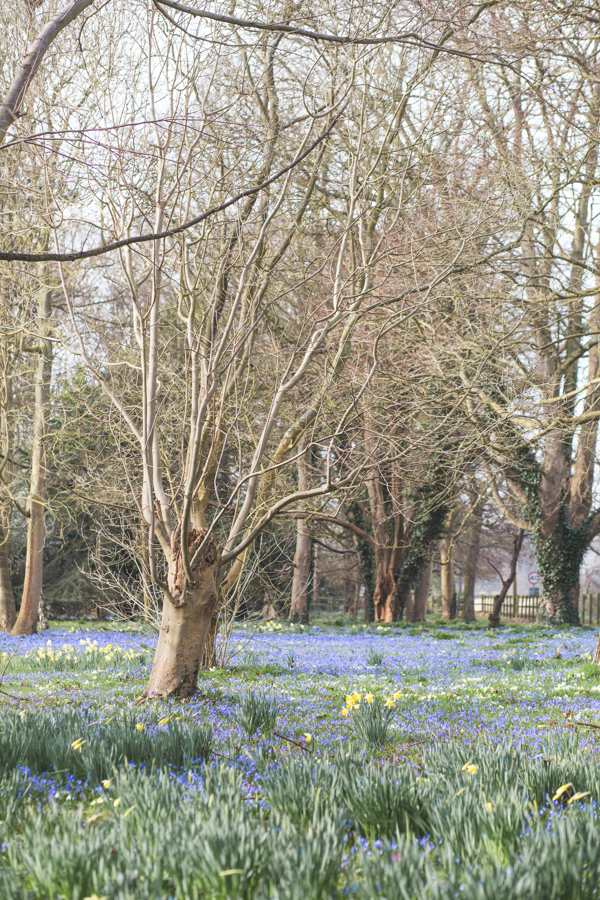 suffolk_blog_017